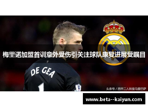 梅里诺加盟首训意外受伤引关注球队康复进展受瞩目